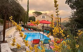 La Viste - Spa-Jacuzzi - Massage- Sauna - 4 Saisons - Piscine Chauffee Toute L'Annee - Heated Pool - 800M City Centre